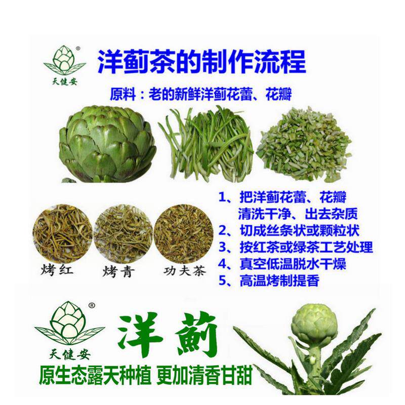 洋蓟疏肝茶洋百荷叶茶朝鲜蓟茶花草茶烤青100克清香甘甜生态种植