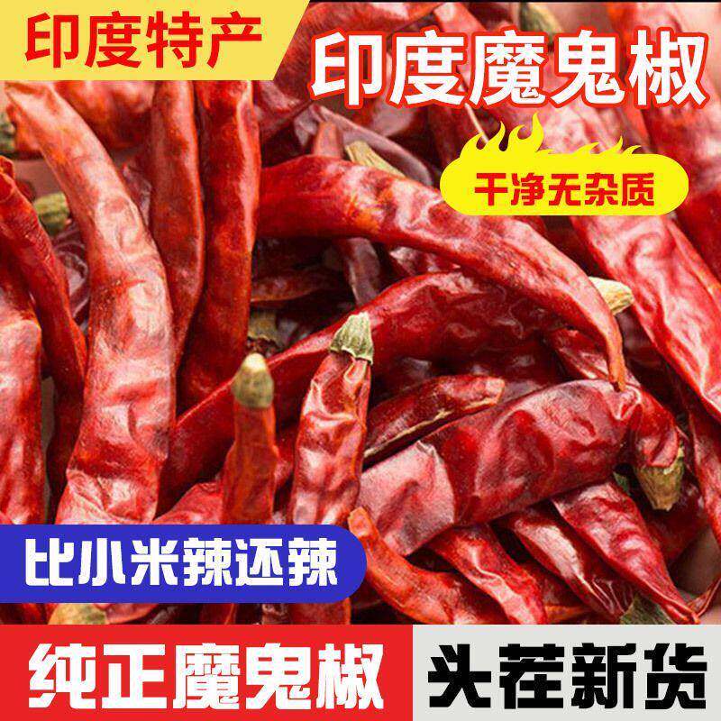 印度椒魔鬼椒s17中粗 皮特辣超辣辣椒面香辣红干辣椒段福建辣椒王
