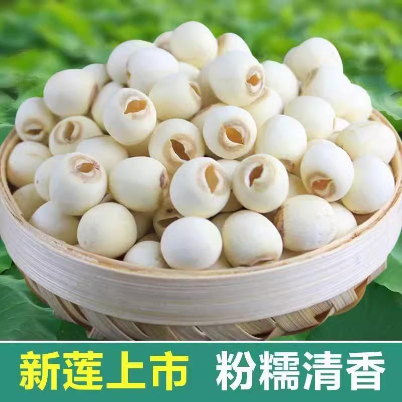 湘潭莲子干 干货500g特产级无芯百合组合干散装磨皮去心白莲子羹