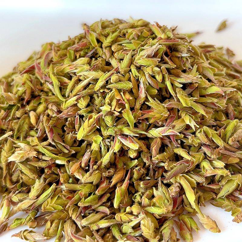 2025年新茶紫芽苞云南普洱茶生茶散芽苞春茶野花香嫩芽蜜香全芽尖