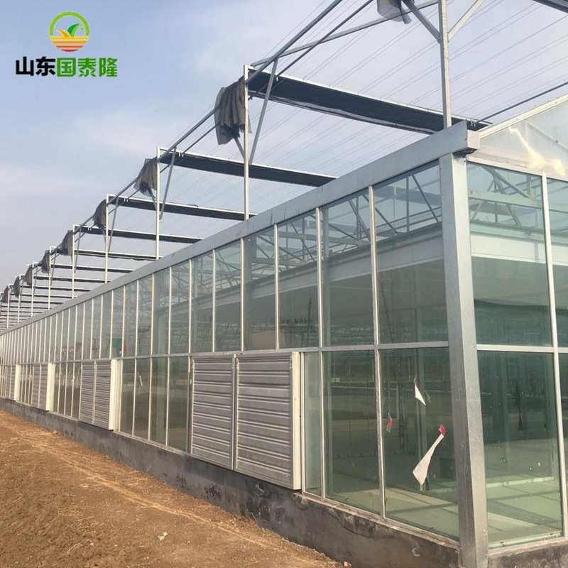 承接玻璃连栋温室大棚  造价一站式服务连动薄Y膜温室建设