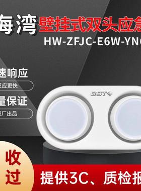 海湾应急灯疏散指示牌壁挂式ZFJC-E3W-YN664控制型消防应急照明灯