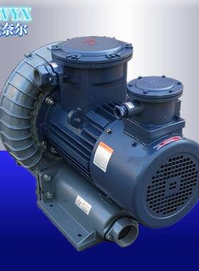 FB-033沼气乙烷输送防爆高压风机IIBT4CT4变频防爆高压旋涡鼓风机