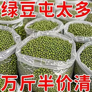 小绿豆净重新货绿豆粥笨新鲜绿豆汤豆芽五谷杂粮 薄皮绿豆