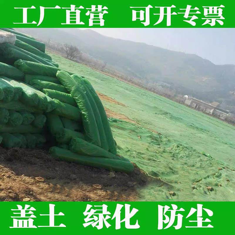 2 3 4针6针防尘网盖土网防尘网建筑工地绿网覆盖环保绿化网密目网
