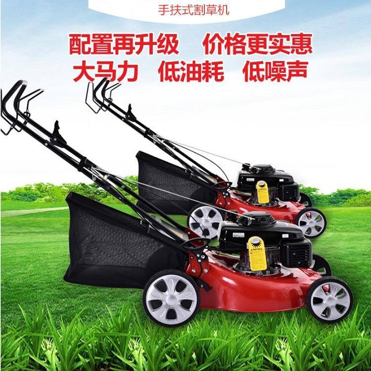 汽油割草机手推草坪机自走式除草机推草剪草打草机厂家