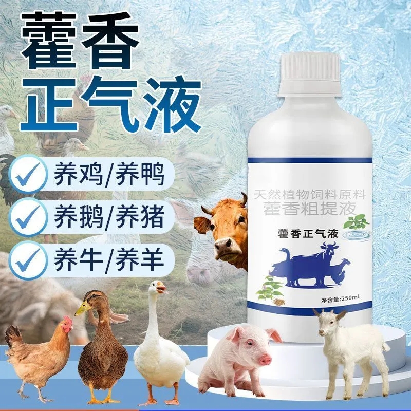 藿香正气液鸡鸭鹅解暑降温兽用畜禽猪牛羊防中暑抗热应激养殖M