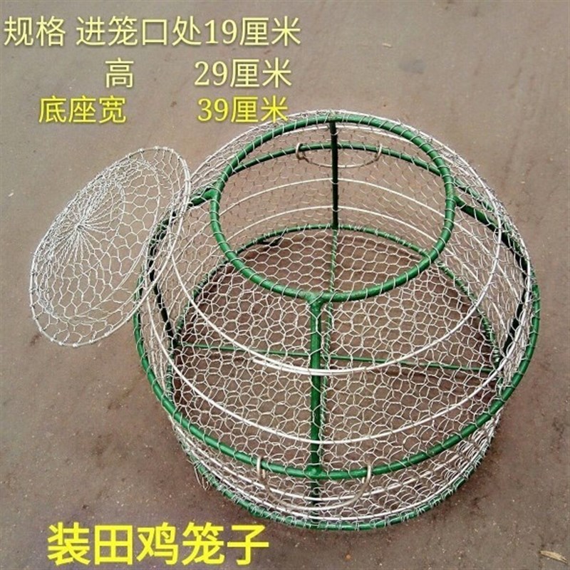 不锈钢田鸡笼牛蛙笼养殖笼酒店笼海鲜大排饭店专用笼养殖厂用笼子