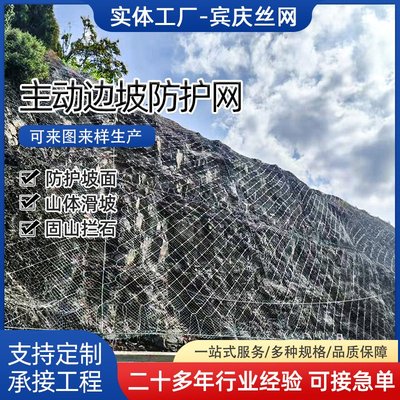 主动边坡防护网山体滑坡钢绳网被动防落石网绞索网sns柔性防护网