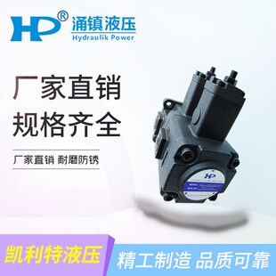 02A A4A4 03A F2020 F4040 HP涌镇双联叶片油泵VPVCC F3030 F1212