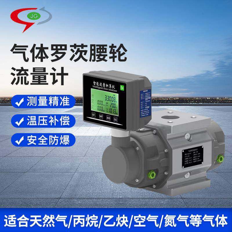 气体腰轮流量计智能流量数显天然气丙烷氮气高精度气体罗茨流量计