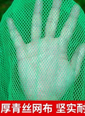 大块珊瑚石50斤锦鲤鱼s池过滤材料鱼池滤材珊瑚骨天然珊瑚石过滤