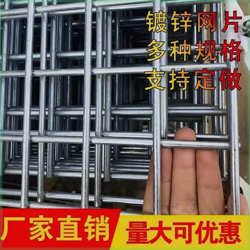 镀锌网片养殖鸽笼加粗狗笼子钢丝围栏防护铁网格网铁丝网厂家直销