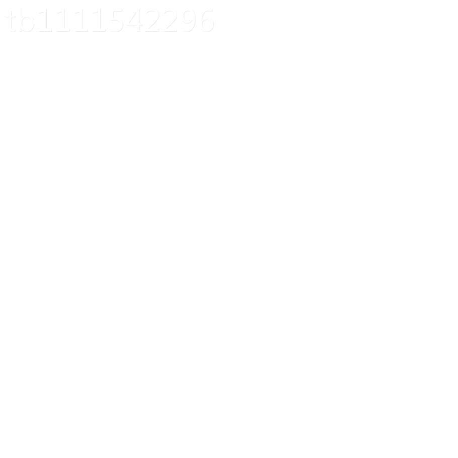 全铜接泡沫壶喷壶泡多功能头高洗车喷水壶洗车水枪发泡KET起压壶