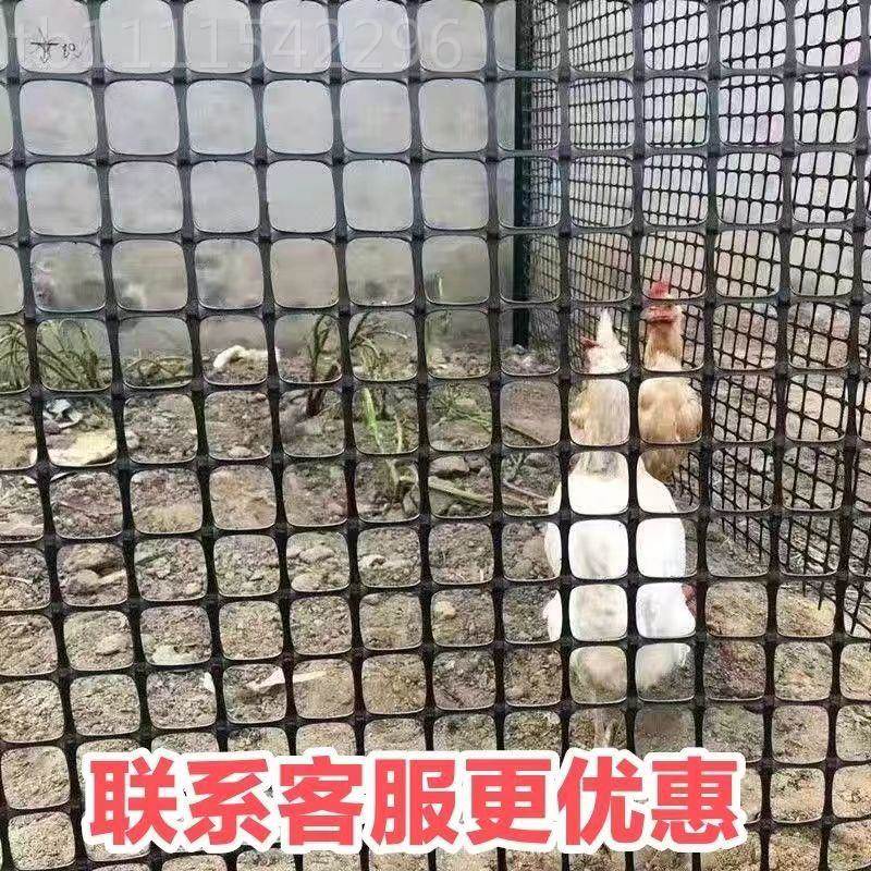养网鸡网用塑料围栏网拦鸡网栏玉米养殖网鱼家塘防护网围LVI栏栅