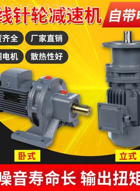 摆线轮式立式针减速机污水处理搅卧机拌3LMX80V国标全铜芯电机BWD