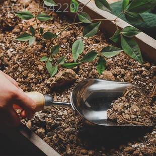小铲子锈钢种植挖土EZI用三件套合种组花铁铲不养 园家艺工具套装