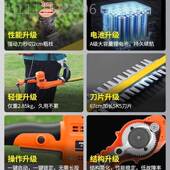 充电式 锂电化电动绿篱WLL茶叶球修剪树机剪茶家用园林绿灌木修枝