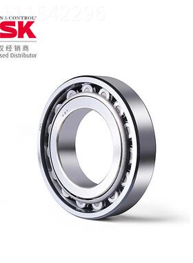 NSK1轴N承圆 恩斯克柱滚子轴承 USDX234-NU30