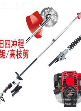 多功能进口高枝锯汽油绿篱修剪油机树园绿化HOI果加长高枝锯林高