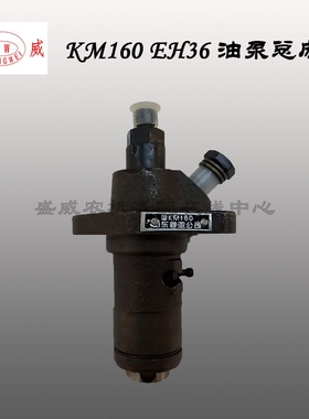 常柴单缸柴油机 EH36油泵总成 L28 T35高压油油泵 喷油泵柱塞配件