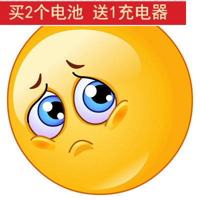 特殊锂电池 探照灯手电筒头灯信号灯 定做好品质扁插双插充电器