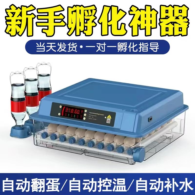 鸡蛋孵抱器芦丁鸡卵小鸡孵化机全自动家用型小型孵化器孵蛋机浮付