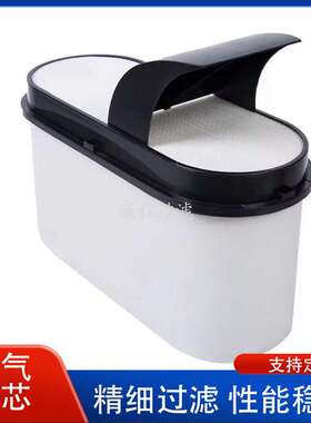 重汽发动机空滤A0040946804 CP50001 AF4250蜂窝空气滤芯