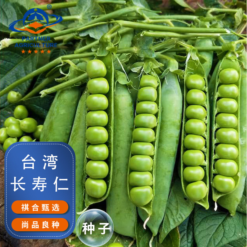 云南台湾长寿仁豌豆种籽甜豌豆种孑高产豌豆苗蚕豆荷兰豆菜籽蔬菜