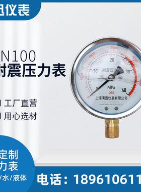 耐震压力表YN100防震 0-0.6/1/1.6/2.5/4/6/10/40Mpa水压油压气压