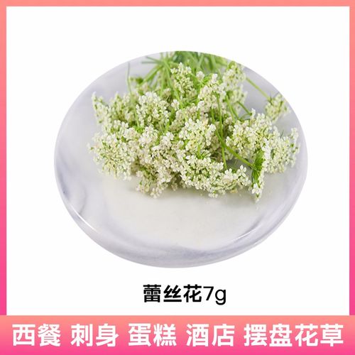 新鲜蕾丝花雪珠花白色小花酒店西餐日料摆盘冷菜蛋糕点缀装饰花草