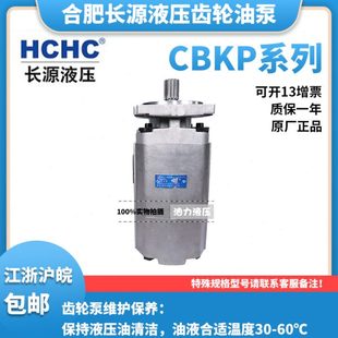 BFφ BFP 合肥长源齿轮油泵CBKP32 BFH 100 BFX