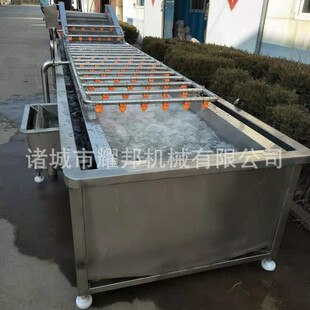 全自动大枣苹果水果蔬菜清洗机 气泡果蔬清洗机 大型食堂洗菜机