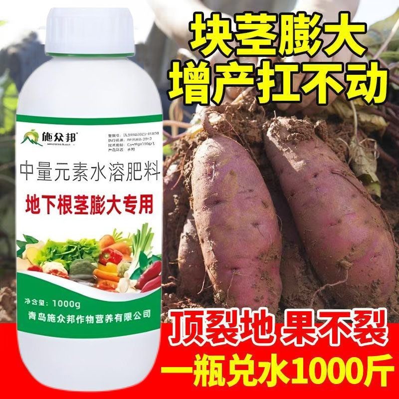 地下根茎膨大肥膨大素