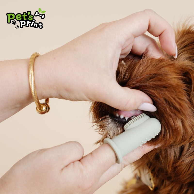 PetsPrint宠物指套牙刷狗狗猫咪手指牙刷牙齿口腔套清洁护理工具