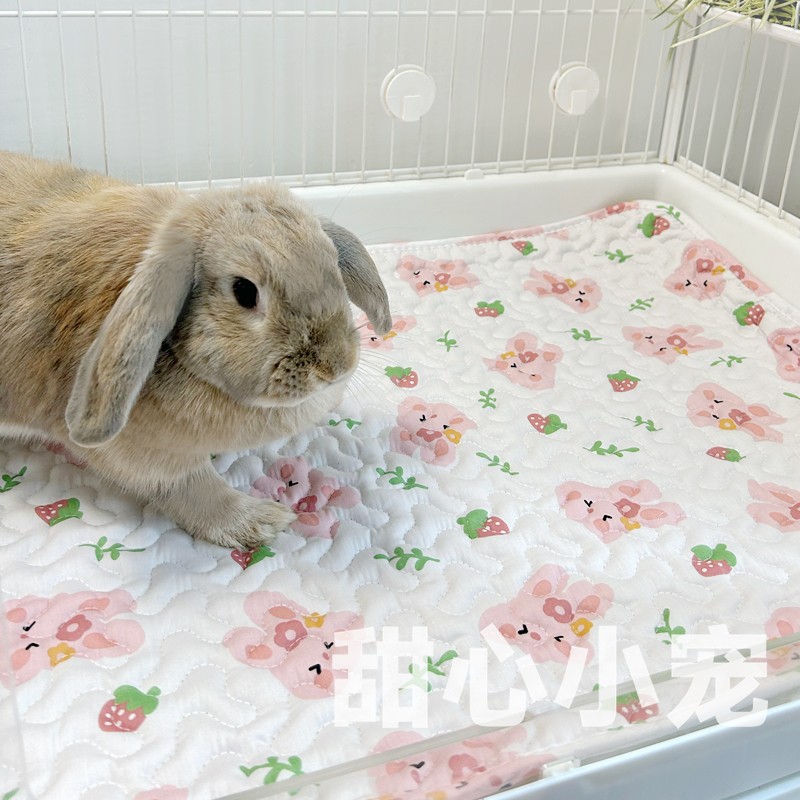 兔笼地垫达洋81pro笼内垫子兔子荷兰猪笼umi笼子水洗垫R71脚垫