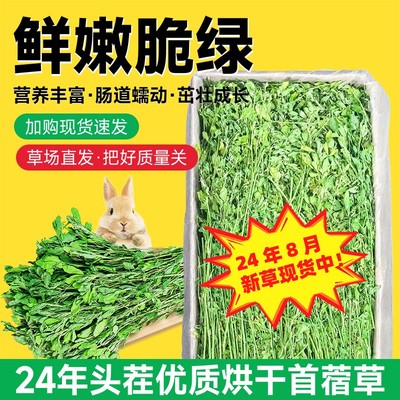 苜蓿草兔粮草兔子饲料干草幼兔荷兰猪龙猫专用吃的苜宿草食用牧草