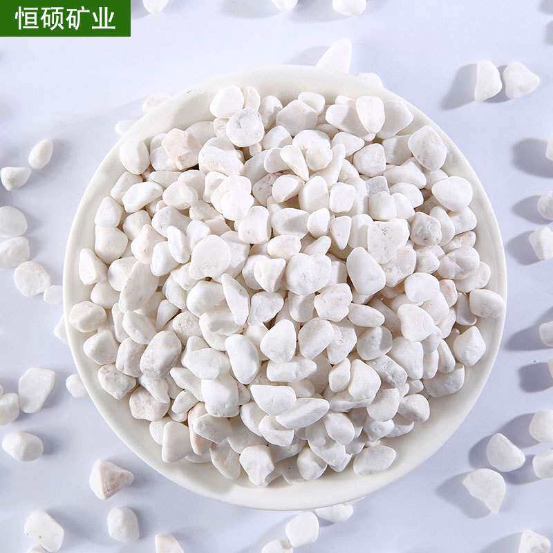 现货 花卉水培白石子 庭院花园园林铺路别墅装饰机制白卵石