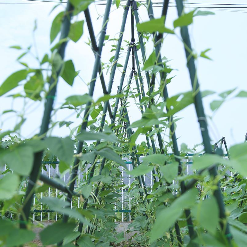 种菜黄瓜瓜果豆角丝瓜爬藤v架阳台楼顶葡萄架瓜架家用院子种菜架