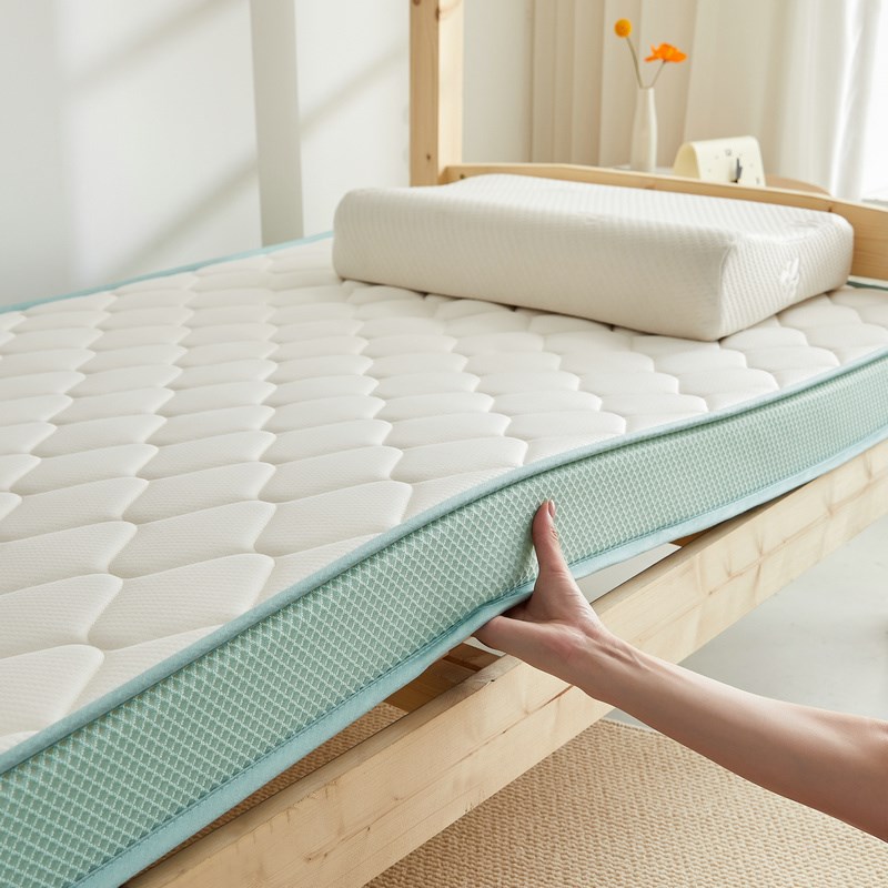 学生宿舍护脊椎棕榈床垫记忆棉单人家用双人卧室租房加厚海绵垫子