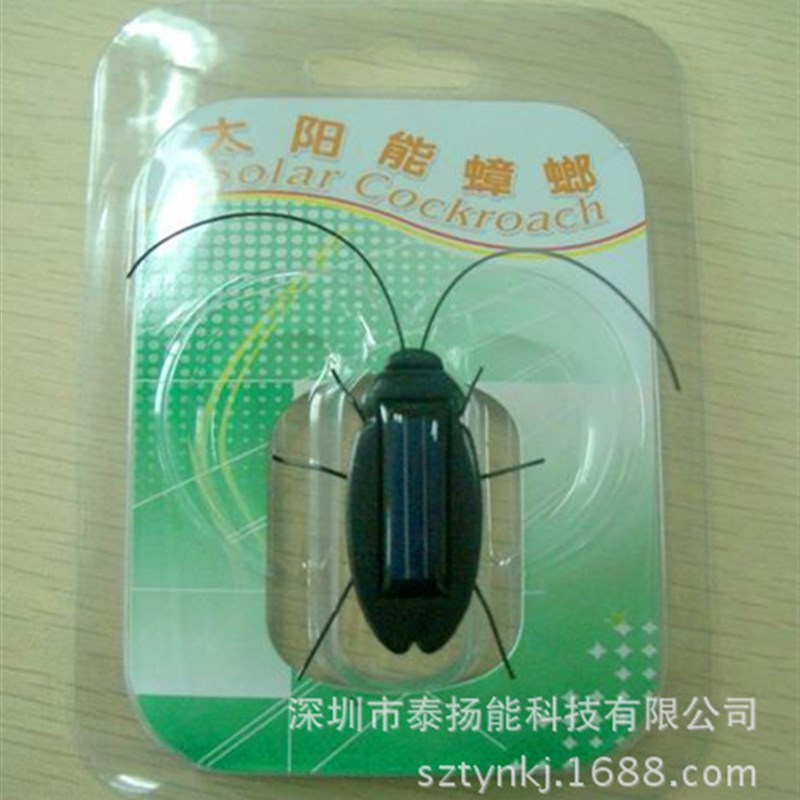 太阳能蟑螂d 益智  动物模型 恐怖 太阳能教学用具