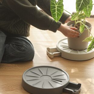 移动花盆托盘接水盘带轮万向轮滑轮滚轮加厚塑料底托花盘花托底座