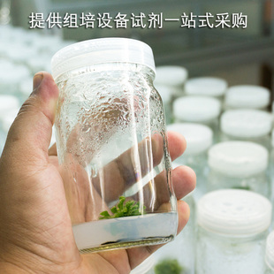 环己六醇250g 有机物 瓶 组培生化实验试剂原料肌醇AR 茉钡特生物