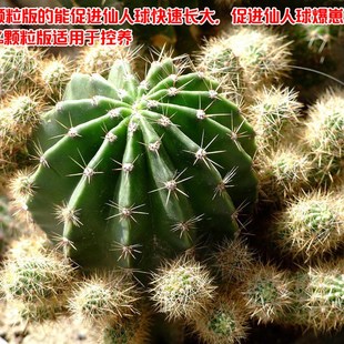 包邮仙人球,仙人掌,龙舌兰,沙漠玫瑰龟甲龙等等块根类专用土