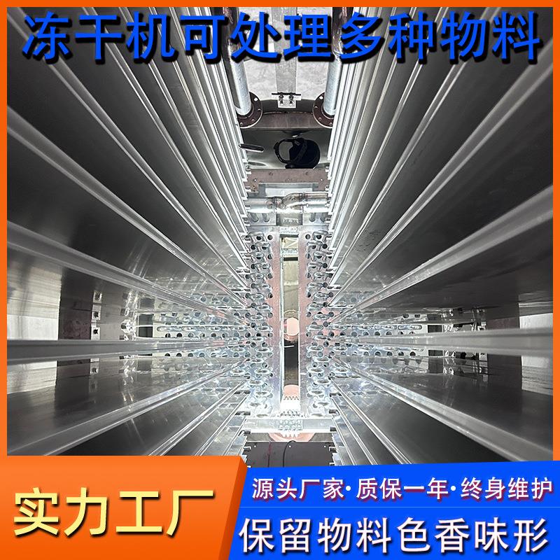 干源头CEQ厂家冻干机商用大型脱真水空冷冻干燥机水果蔬菜冻流水