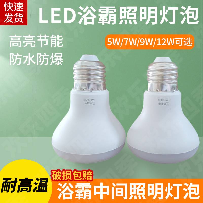 浴霸中间照明LED光源灯泡化妆室照明10W灯泡E27螺口防摔防水防爆