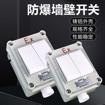 防爆墙壁开关 熔断路器86型明装单开双开10A20A厂房车间220V380V