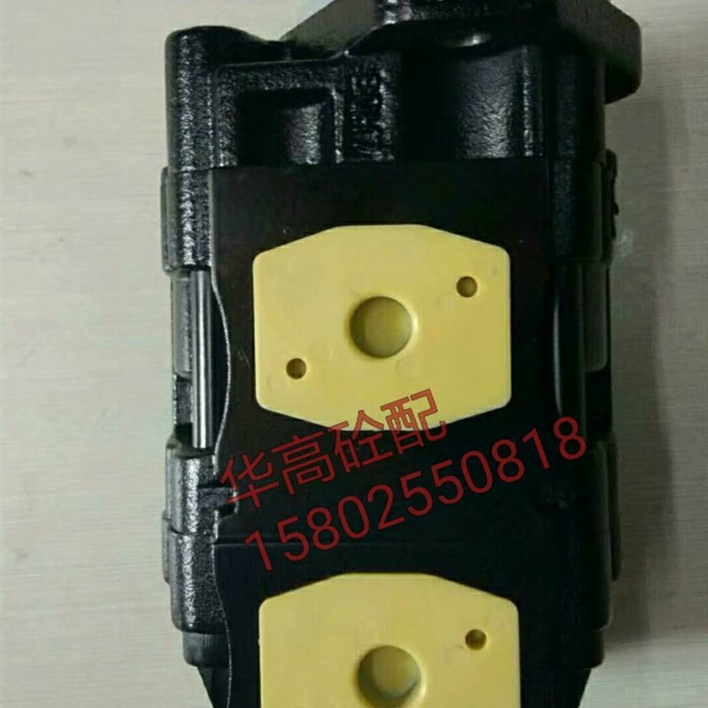 泵车摆缸齿轮泵 意大利CASAPPA凯斯帕单进双出齿轮泵泵车配件