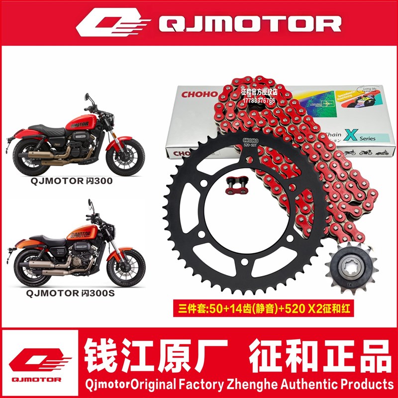 钱江闪300 闪300S QJ300-12A大小齿(15T)轮链轮牙盘征和油封链条
