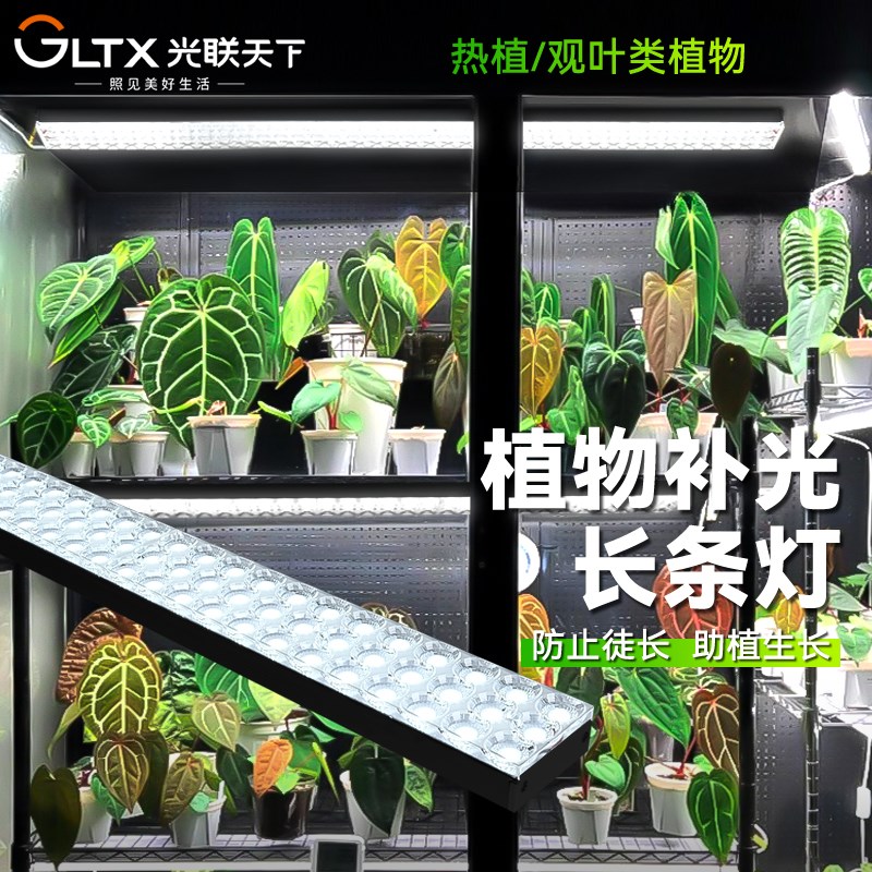光联天下热植观叶类植物生长灯长条排灯全光谱仿太阳光植物补光灯